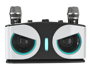 Neuer Gadget Mini Dj Lautsprecher mit Mikrofon Speicher karte Karaoke Hifi Sound Lautsprecher für Outdoor-Aktivitäten - Product Image 3
