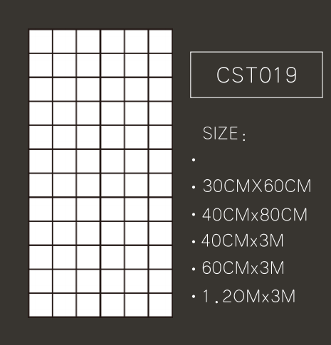 CST019