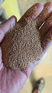 36 #46 # 核桃壳研磨机用磨料原料核桃壳批发 - Product Image 5