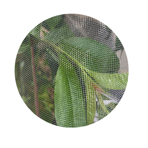 Anti Insect Netting Hdpe <strong>Bug</strong> Catching <strong>Net</strong> Uv Resistant Plastic Insect <strong>Proof</strong> 80 Mesh Anti Insect <strong>Nets</strong> for Orchard Vineyard - Product Image 6