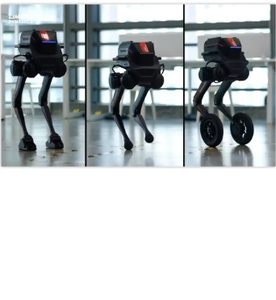 2025 Chinesische intelligente künstliche Intelligenz Fox tech robot Walking SDK RC Programmierung Biped Humanoid Robot