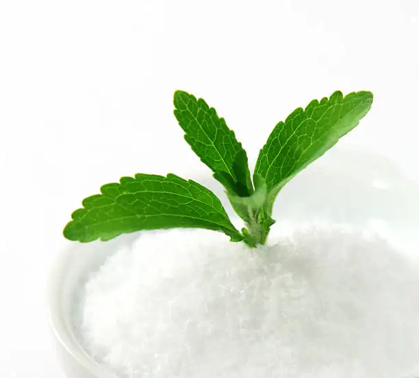 Organik 95% stevia tatlandırıcı tozu Stevia özü