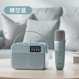 微型家用发光二极管移动便携式卡洛克迷你麦克风套装和带麦克风的可充电无线迷你扬声器BT卡拉ok