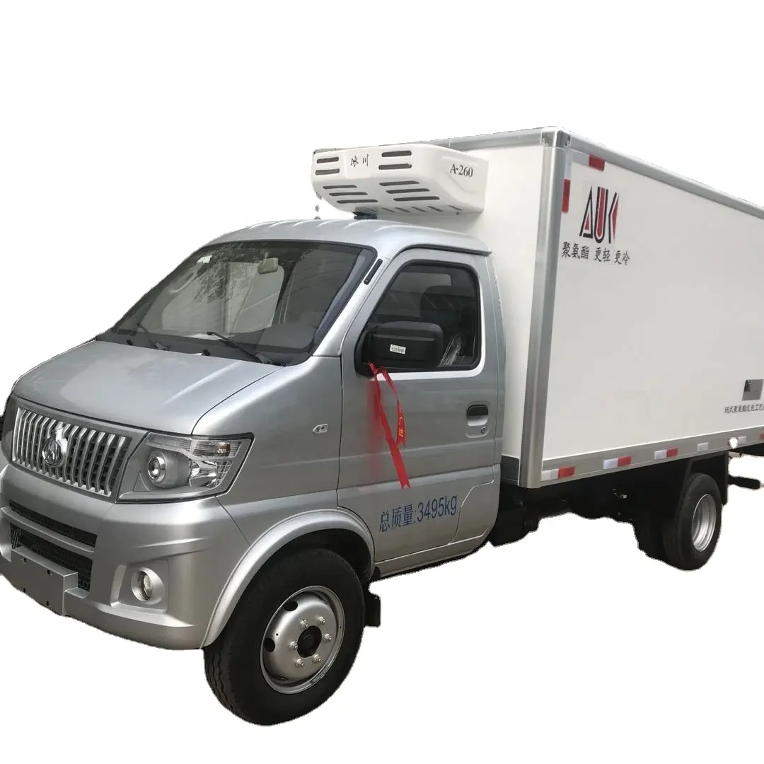 ChangAn refrigerator truck Thermo king cooling unit 2 TON freezer van for sale