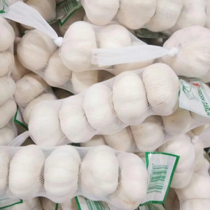 Bán <span class=keywords><strong>tunis</strong></span> tươi <span class=keywords><strong>AL</strong></span> ho Màu Đỏ 55mm 10kg (2024 thu hoạch) ail-cung cấp 26 năm - Product Image 2