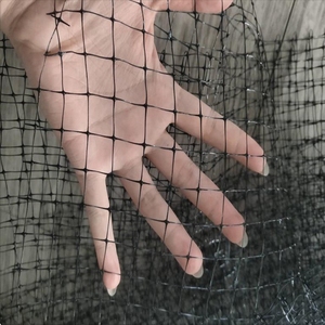 Plastic <strong>Garden</strong> Vineyard Bop Netting UV Treated <strong>PP</strong> Plastic Extruded Anti Bird Netting Mesh Chicken Fencing <strong>Net</strong> - Product Image 4