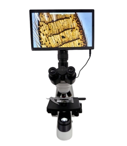 Microscope biologique binoculaire et trinoculaire XSZ-197 <span class=keywords><strong>Microscopes</strong></span> de haute qualité du fabricant - Product Image 3