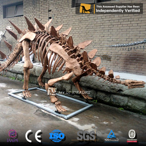 Z MY DINO Museu Simulação Artificial Exposição Dinossauro Anquilossauro Esqueleto Fóssil
