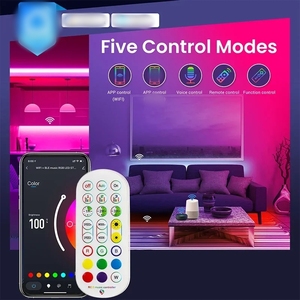 RGBIC LED striscia di luci al Neon corda 5V USB 5M/16.4ft per camera da letto telecomando WIFI APP di controllo 10m RGBIC Neon LED corda 12V tensione di ingresso - Product Image 2