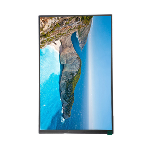 10 inç 800x1280 LCM TFT LCD IPS ekran tam görüş açısı MIPI arayüzü 10.1 "LCD Panel - Product Image 1
