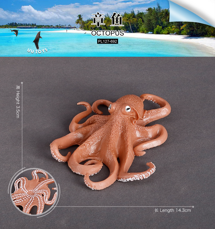 692 Pulpo