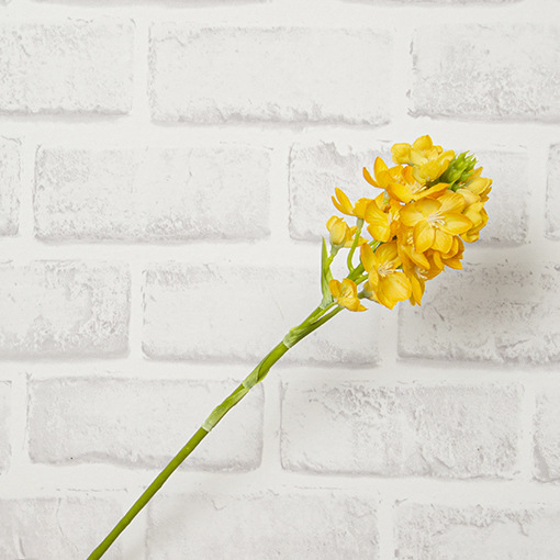 Giallo