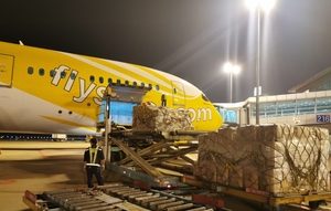 大連からVVOへの航空貨物ロジスティクスソリューション | 専門的な通関手続き | リアルタイム追跡 | 効率的かつ安全 - Product Image 6