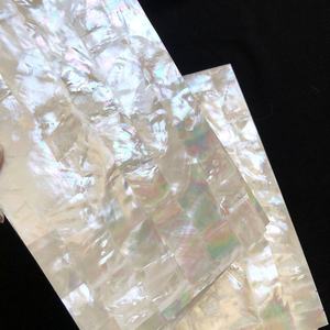 Özel bir fiyata satılan XE-074 özelleştirilebilir renkli kabuk duvar kağıdı abalone kabuk kiremit - Product Image 3