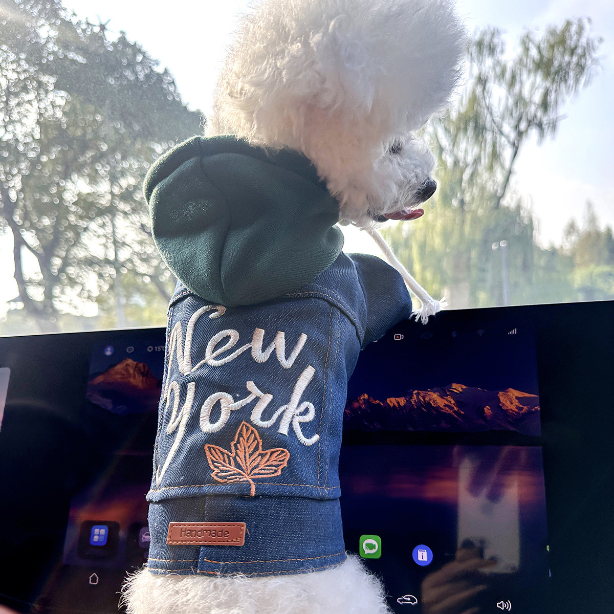 New York denim jacket