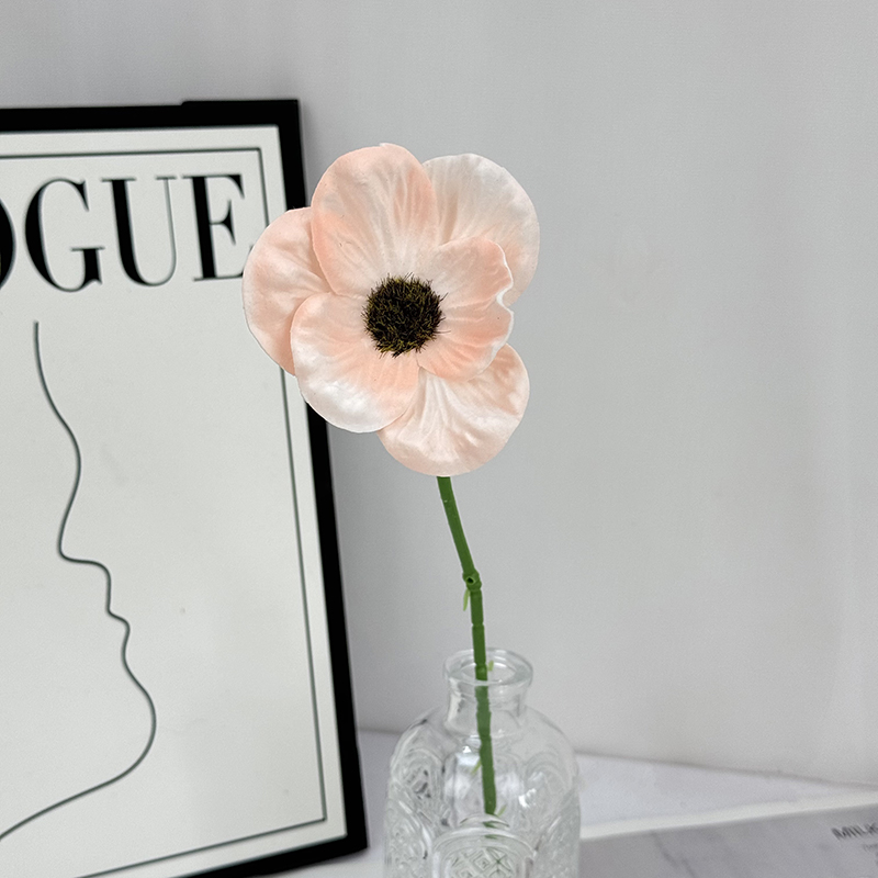 Champagne rose