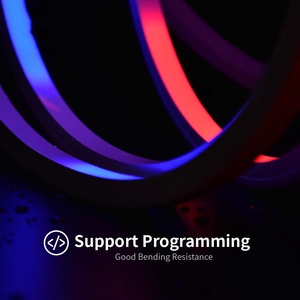 Hot Selling <strong>Led</strong> Neon Strip Light Addressable Digital RGB 10mm 10mm WS2811 IC for Outdoor Use IP67 Waterproof Light Strip - Product Image 2