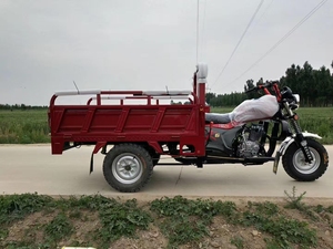 סין חדש 3 גלגל apsonic אופנוע תלת אופן דלק מטען חוות אופניים ממונעים מקוררים מוטו למבוגרים - Product Image 5