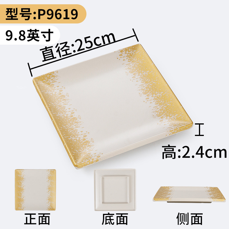 P9619