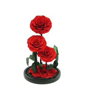Rose Head A-Grade 7-8 Cm 3 Pcs Hoa Hồng Thủy Tinh Dome Bảo Quản Hoa DIY Chất Liệu Tanabata Valentine Của Ngày Quà Tặng - Product Image 1