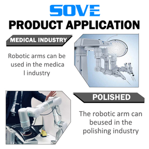 研削と溶接用の6軸とロボットコントローラーを備えたSOVE産業用ロボットアーム - Product Image 5