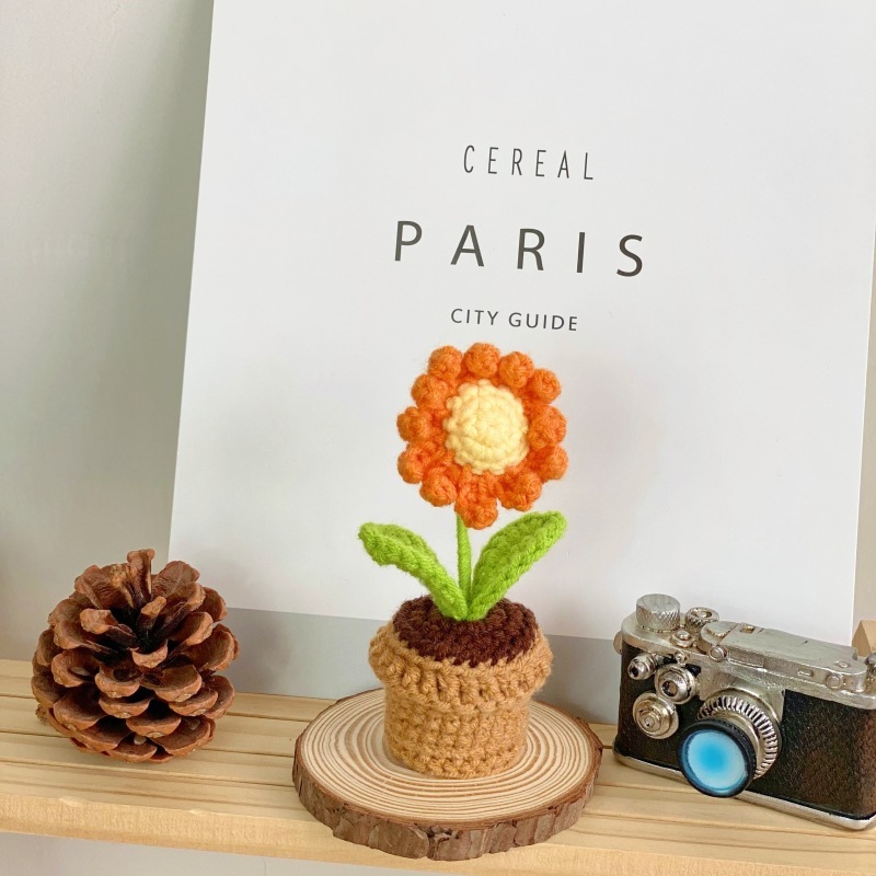 B orange small daisy potted