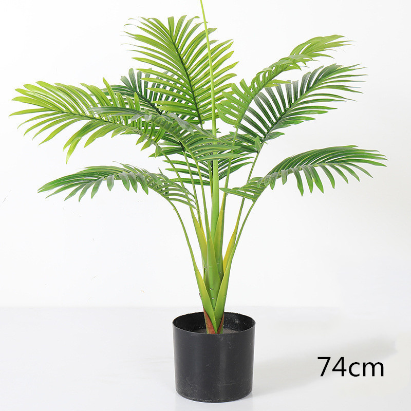 Areca Palm 74cm