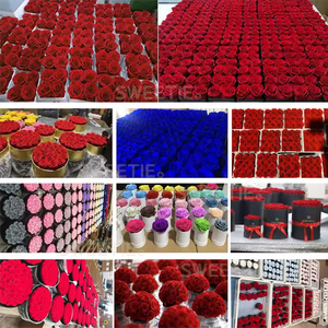 Toptan klasik sonsuza çiçek mantar kutusu eternas rosas preservadas hediyeler özelleştirilmiş adı üzerinde korunmuş infinity gül kutusu - Product Image 6