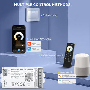 Tuya WiFi Bluetooth 2,4G Push Dim Dual White CCT Controlador de tira LED para PWM DC12V 24V 48V Cinta LED - Product Image 2