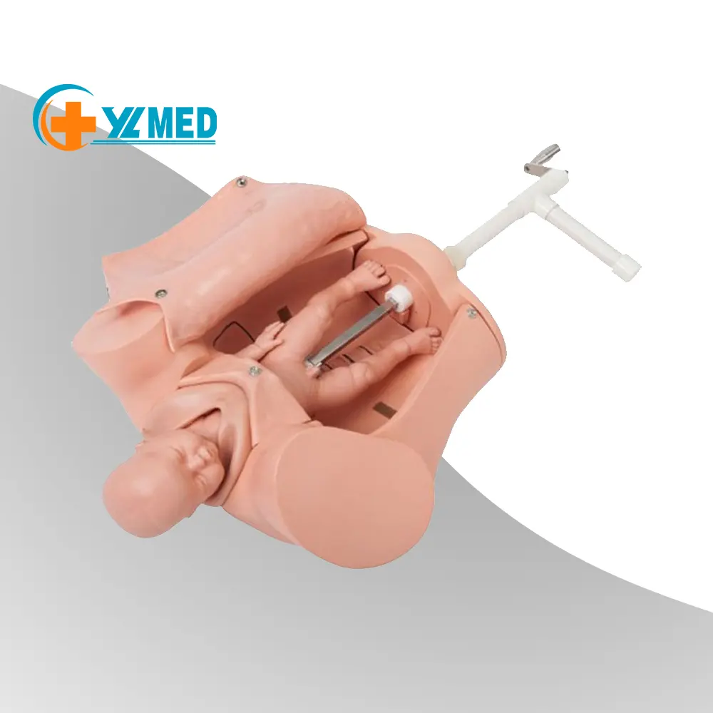 Machine de démonstration d'enseignement médical gynécologique à la démonstration d'accouchement modèle de processus d'accouchement humain simulé