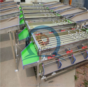 Industrial High Efficiency Walnut Tomato <strong>Dates</strong> <strong>Sorting</strong> Grading <strong>Machine</strong> - Product Image 4