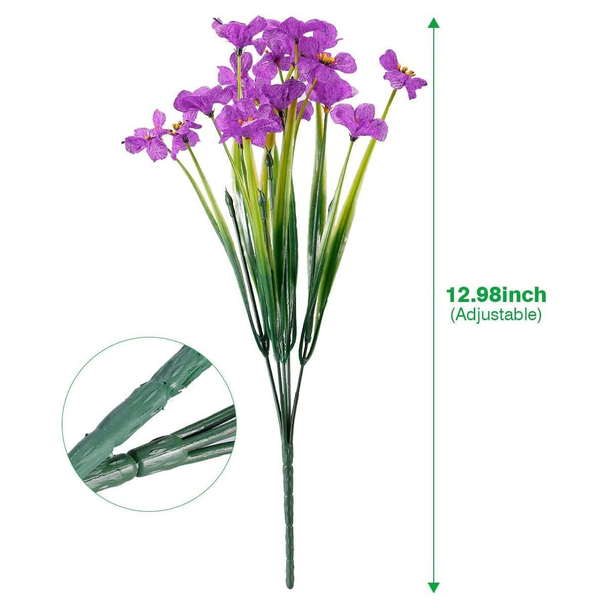 Lotus violet