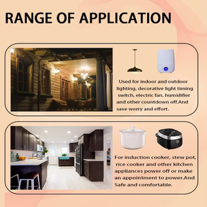 Fornitura di fabbrica Smart Home Mini Timer spina 24 ore ciclico Timer meccanico per uso industriale 220V PC Plug in Timer