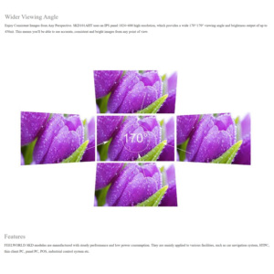 وحدة FEELWORLD بشاشة LCD تعمل باللمس TFT ، إدخال متعدد الواجهات ، سعر الجملة لـ ATM وكشك - Product Image 4