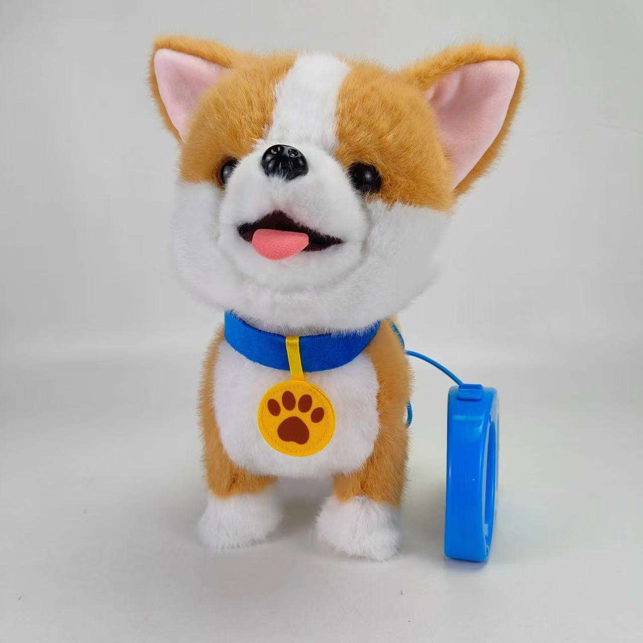 chien de type corgi