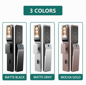 Produttore biometrico impermeabile 3D riconoscimento del volto impronta digitale Tuya carta Wifi blocco Video Intercom Smart serratura porta - Product Image 6