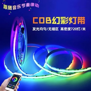 装飾照明12v24vホームLEDストリップライトws2811ws2812bLEDアドレス可能なストリップライトcob - Product Image 5