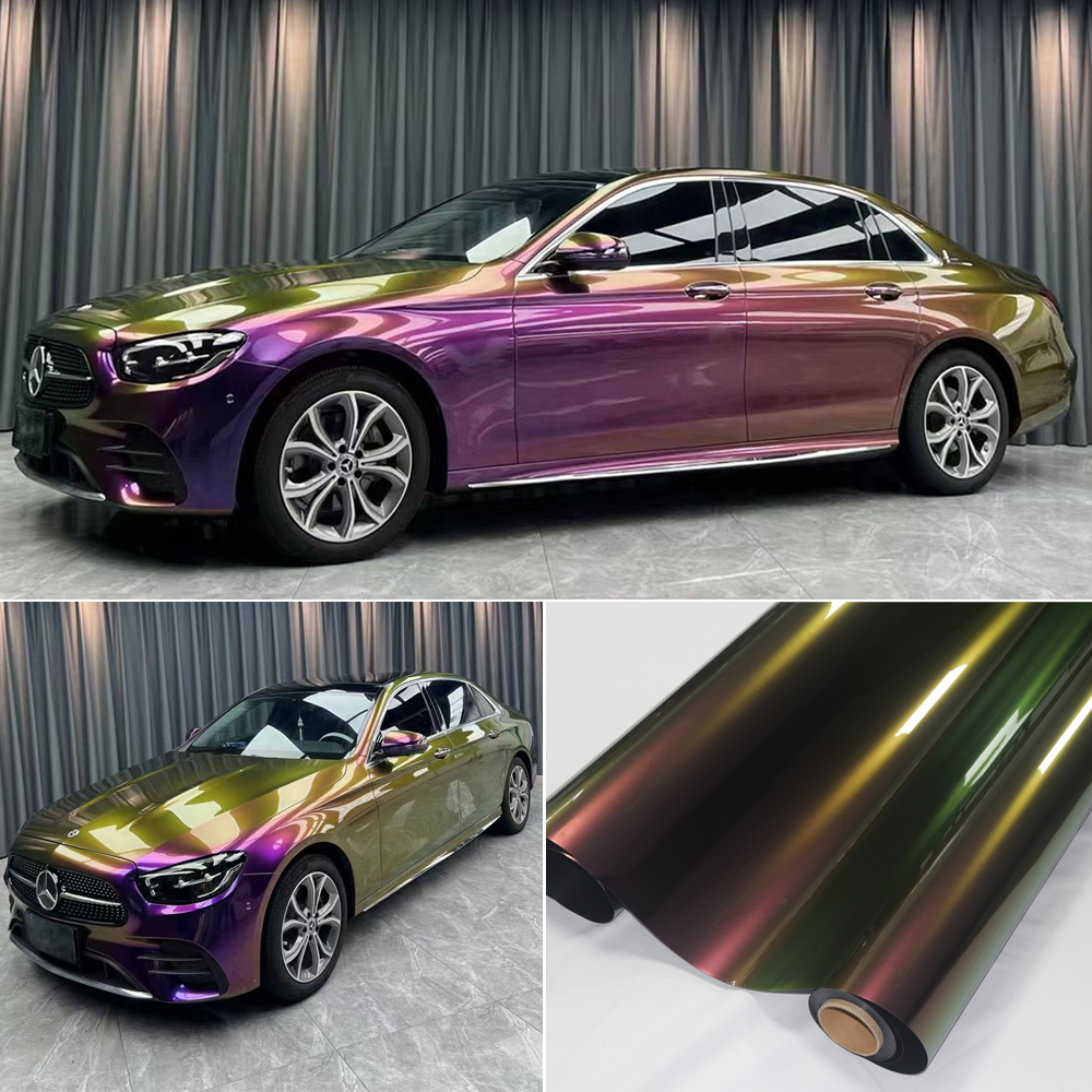 Chameleon purple green