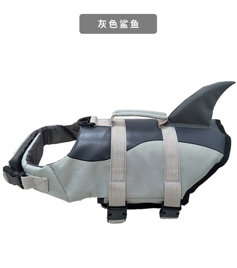 Gray shark