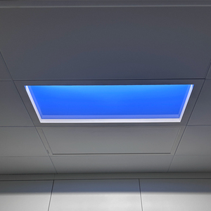 <strong>Manufacturer</strong> of <strong>Led</strong> Skylight Panel Light Lamp with Blue Sky, Clouds, Beach and Palm Trees As Factory's Main Business - Product Image 1