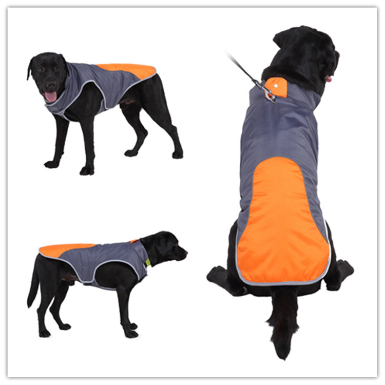 DZ206 Orange et gris