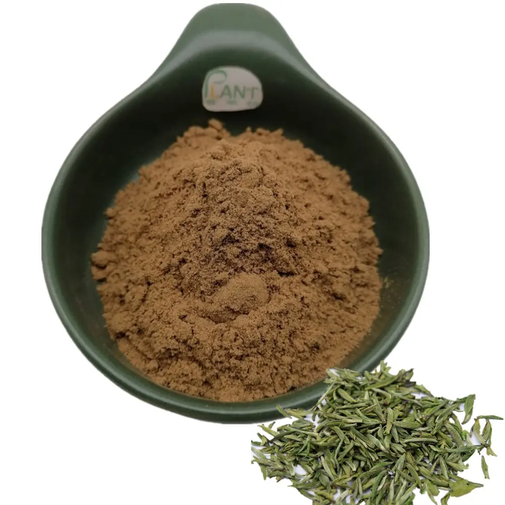 Food-Grade Green Tea Extract 98% Green Tea Extract Powder 40% Tea Polyphenols