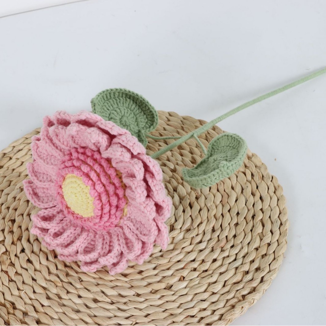 Double tournesol rose