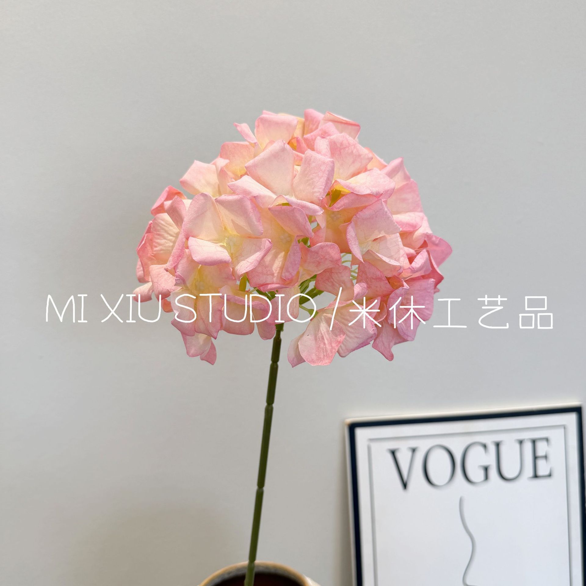 Hortensia de fonte des neiges