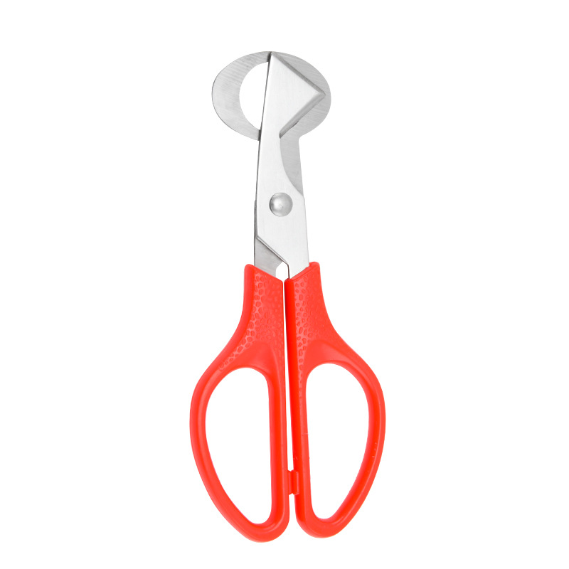 Egg cutter-red