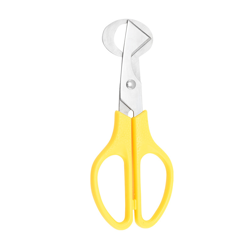 Cutter egg-yellow
