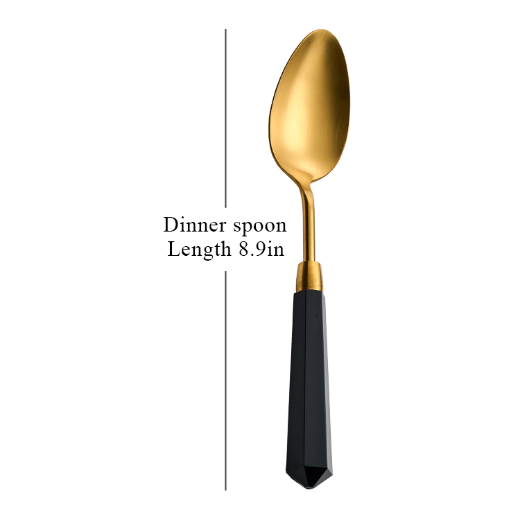 Black handle- dinner spoon