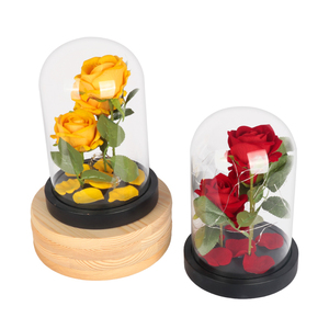 Güzellik ve beast gül ebedi <span class=keywords><strong>led</strong></span> ışık enchanted renkli çiçekler korunmuş sonsuza güller cam kubbe hediye kutusu ile - Product Image 1