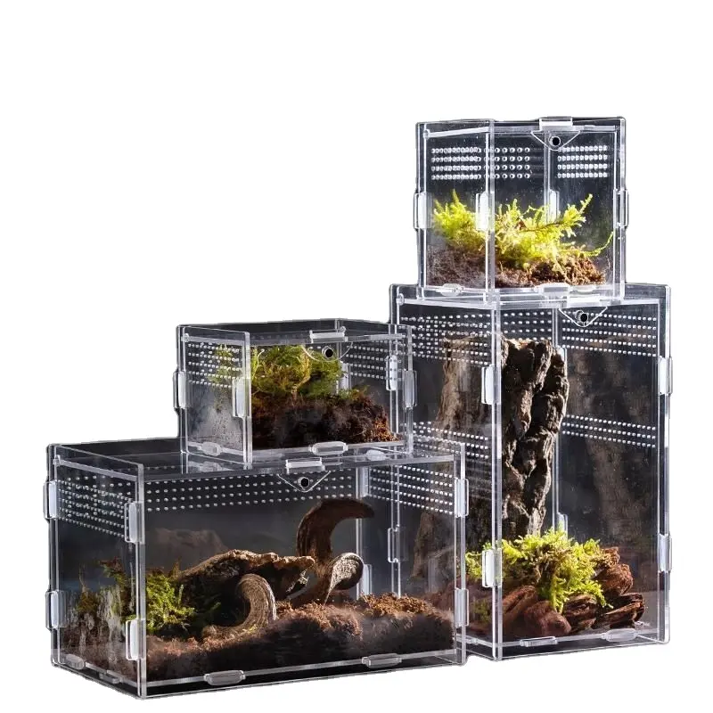 Qbellpet High Quality Magnetic Acrylic Reptile Enclosure 6x6x9inches Breeding Box Terrarium Cage For Frog Spider Insect