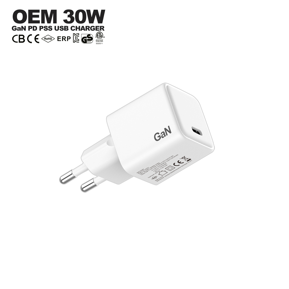 30w wall charger White